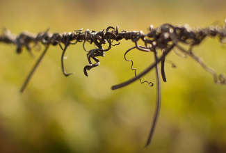 cable vrille.jpg