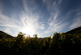 ciel terre soleil.jpg