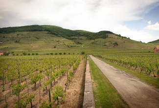Grand Cru Schlossberg.jpg