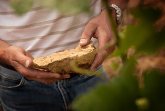 terroir.jpg