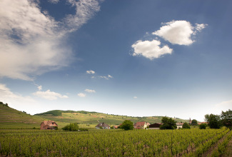 clos grand cru.jpg
