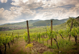 schlossberg.jpg